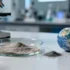 Cosmic Dust May Have Brought Life’s Building Blocks to Earth