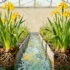 Wetlands and fungi offer breakthrough in PFAS removal