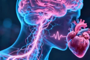 Unlocking the Brain-Heart Connection: How Oxytocin Fine-Tunes Breathing-Related Heart Rate Variabili - Professional coverage