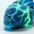 Unlocking Cardiac Recovery: How the CCL28-CCR10 Axis Drives Post-Heart Attack Healing
