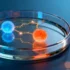 Gene Therapy’s Cardiac Renaissance: New Vectors Reinvigorate Heart Failure Treatment