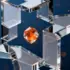 Accidental Leadership Epidemic: Facebook Co-founder Reveals - The Accidental CEO Dustin Moskovitz, the millennial co-founder