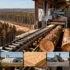 Rayonier and PotlatchDeltic Announce $8.2 Billion Merger to Create Timber Industry Leader