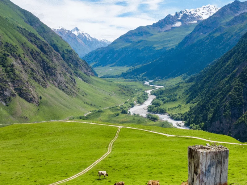New Zealand Conservation Land Reform: Public Decision-Making for Economic Activities