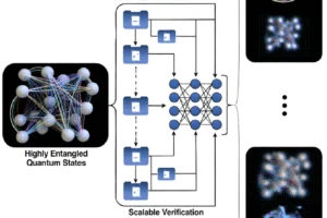 New Quantum Verification Protocol Uses Simple Measurements to Validate Complex States - Professional coverage