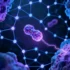 Researchers Identify New Protein Recycling Pathway in Cellular Waste Management - Professional coverage