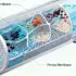 Breakthrough in Electrified Water Purification Membranes
