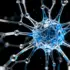 New Brain-Language Dataset Bridges AI and Neuroscience Research