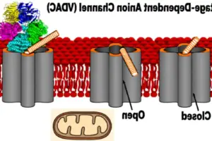 Berlin VC firm raises €235m for energy tech bets - Professional coverage