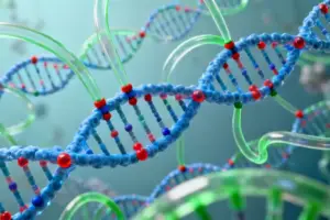 OpenAI's Stargate Lands in Sydney with a Massive New Data Center - Professional coverage